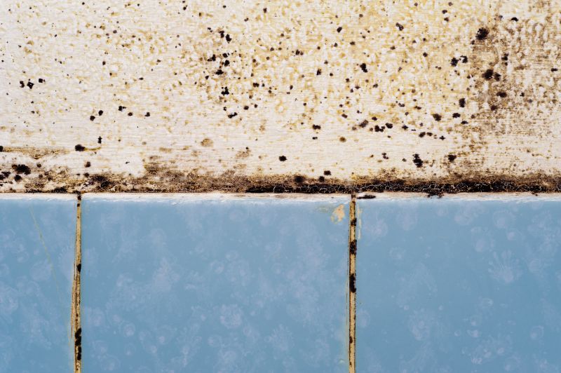 Mold and Mildew Treatment