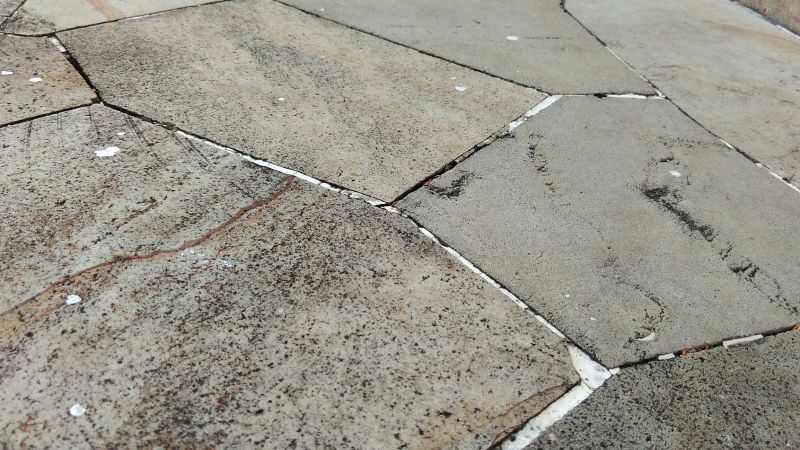 Cleaning Surface Type